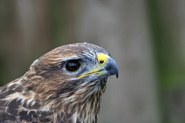 214 Texel.jpg